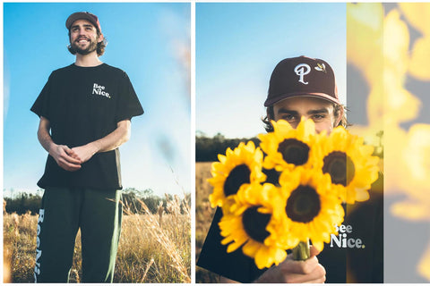 Politics Busy Beeing Nice Collection